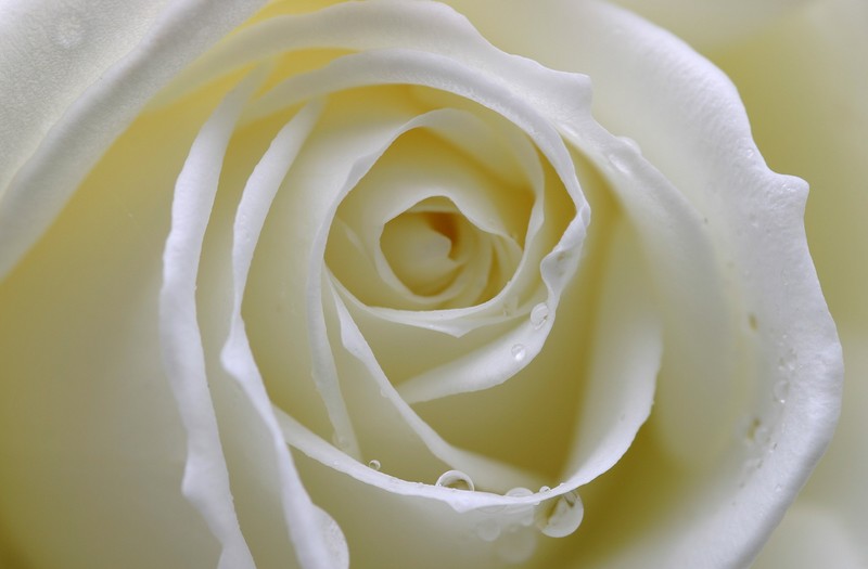 canstockphoto0003950