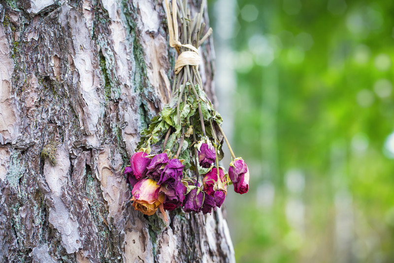 canstockphoto17533525