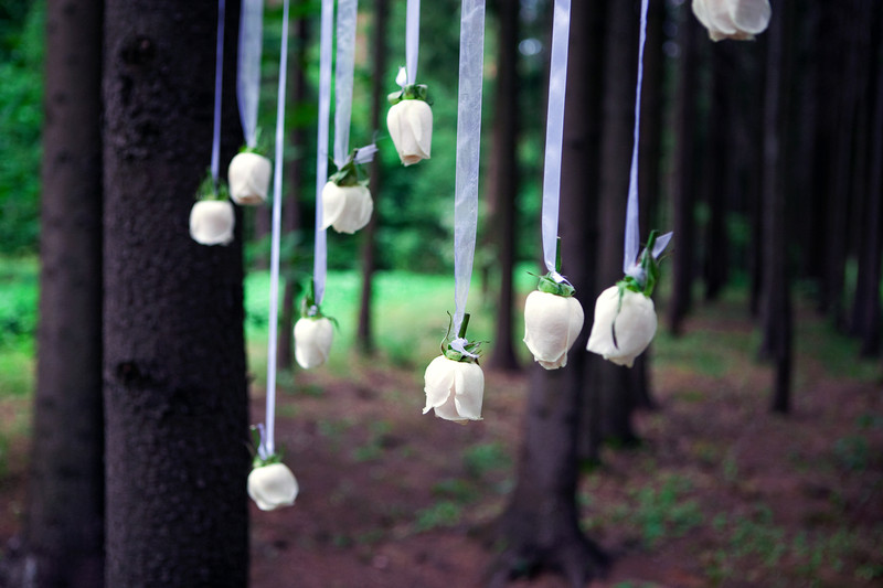 canstockphoto4681791