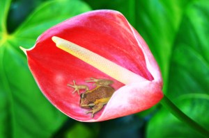 canstockphoto31542801