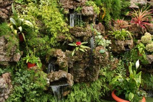 canstockphoto0781078