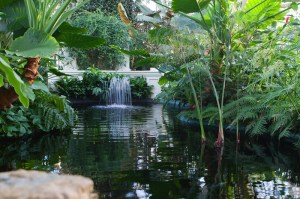 canstockphoto2273041