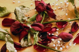 canstockphoto0049227