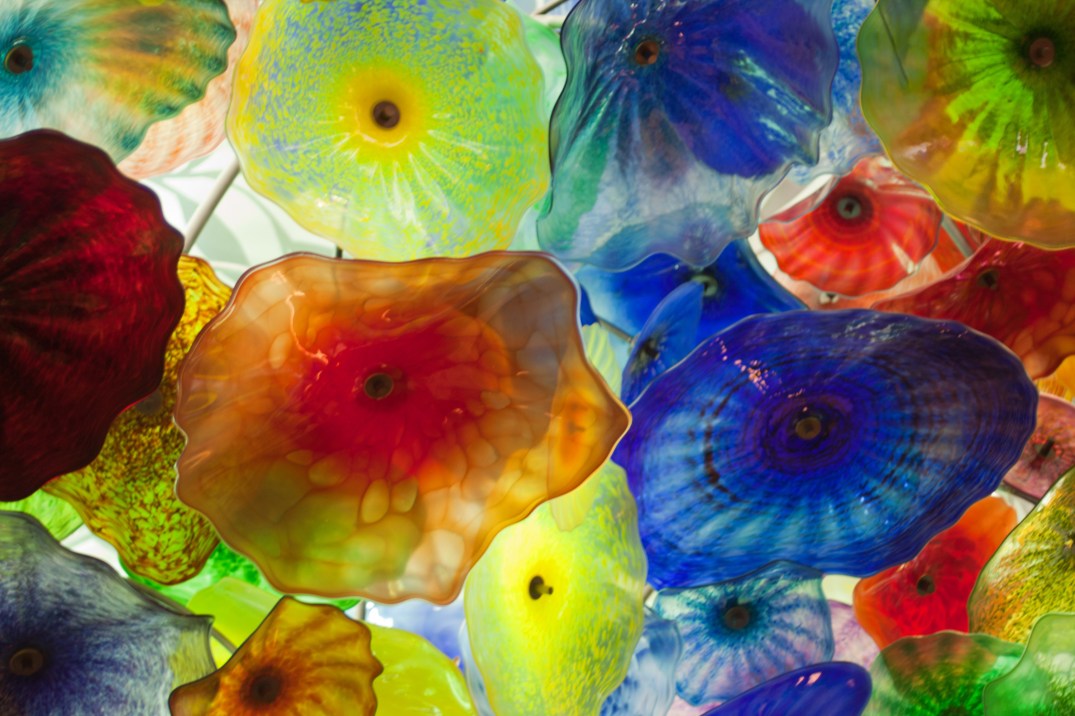 canstockphoto8911795