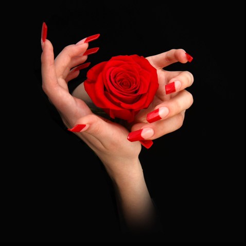 canstockphoto5759308